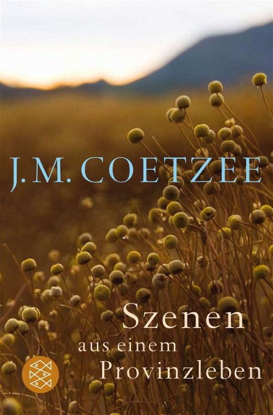 Cover for J M Coetzee · Szenen aus einem Provinzleben (Paperback Book) (2015)