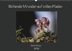 Cover for Won · Blühende Wunder auf stillen Pfaden (Book)