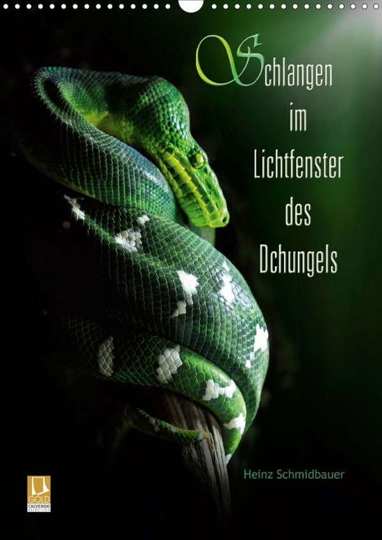 Schlangen im Lichtfenster d - Schmidbauer - Bücher -  - 9783671789085 - 