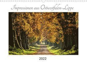 Cover for Michael Pohl · Impressionen aus Ostwestfalen-Lippe (Wandkalender 2022 DIN A3 quer) (Calendar) (2021)