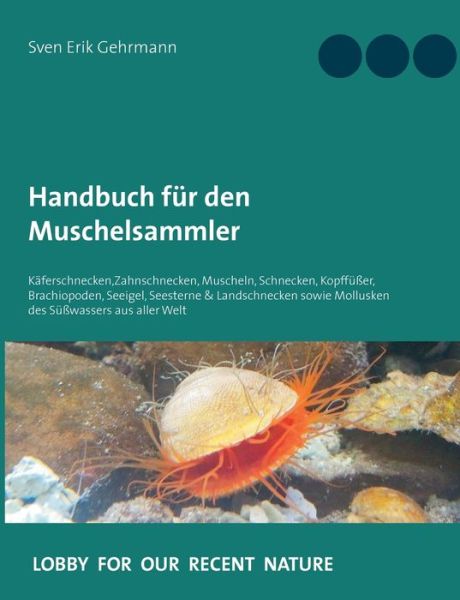 Cover for Sven Erik Gehrmann · Handbuch fur den Muschelsammler: Kaferschnecken, Zahnschnecken, Muscheln, Schnecken, Kopffusser, Brachiopoden, Seeigel, Seesterne &amp; Landschnecken sowie Mollusken des Susswassers aus aller Welt (Paperback Book) (2020)