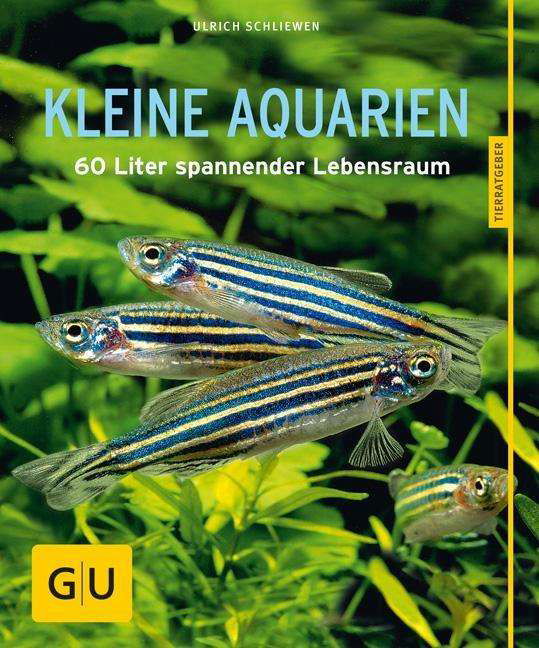 Cover for Schliewen · Kleine Aquarien (Buch)