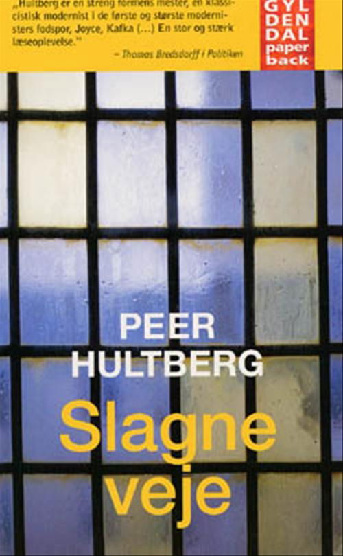 Slagne veje - Peer Hultberg - Bøker - Gyldendal - 9788700752085 - 22. juni 2001