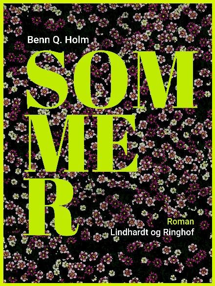 Cover for Benn Q. Holm · Sommer (Poketbok) [2:a utgåva] (2017)