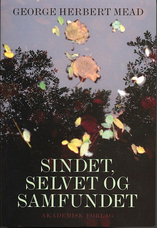 Cover for George Herbert Mead · Sindet, selvet og samfundet (Sewn Spine Book) [1st edition] (2005)