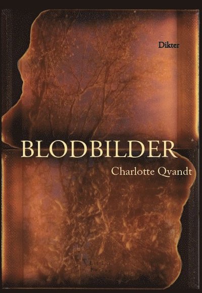 Cover for Charlotte Qvandt · Blodbilder (Book) (2020)