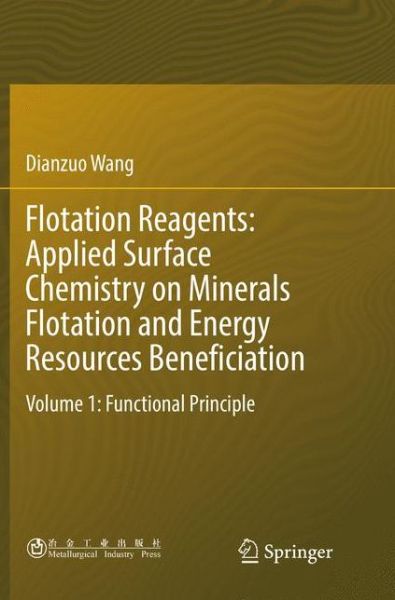 Flotation Reagents: Applied Surface Chemistry on Minerals Flotation and Energy Resources Beneficiation: Volume 1: Functional Principle - Dianzuo Wang - Livros - Springer Verlag, Singapore - 9789811095085 - 23 de junho de 2018