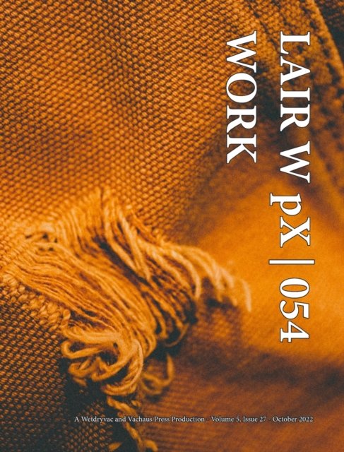 LAIR W pX 054 Work - Wetdryvac - Bøger - Blurb - 9798211905085 - 6. maj 2024