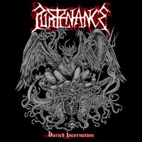 Cover for Purtenance · Buried Incarnation (LP) (2020)