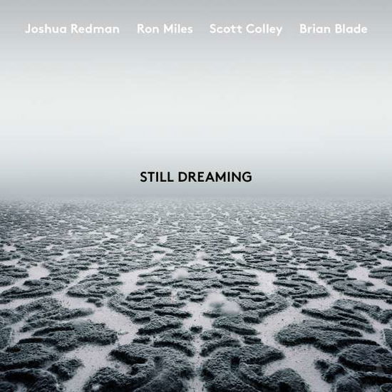 Joshua Redman · Still Dreaming (Feat. Ron Miles & Scott Colley & Brian Blade) (CD) [Digipak] (2018)