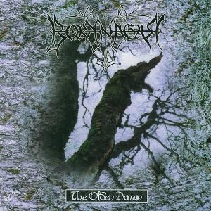Cover for Borknager · Olden Domain (LP) (2025)