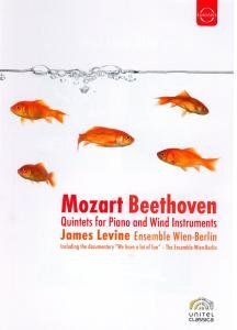 Cover for Mozart / Beethoven · Quintets for Piano &amp; Wind Instruments (DVD) (2022)