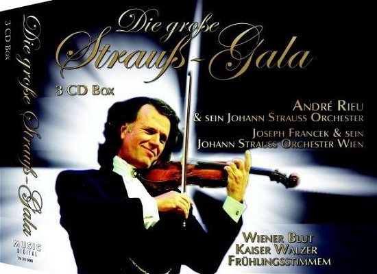 Cover for Andre Rieu · Die Grosse Strauss-gala (CD) (2011)