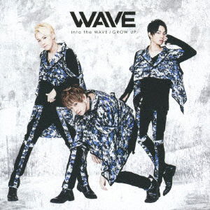 Cover for Wave · Into the Wave / Grow Up (CD) [Japan Import edition] (2018)