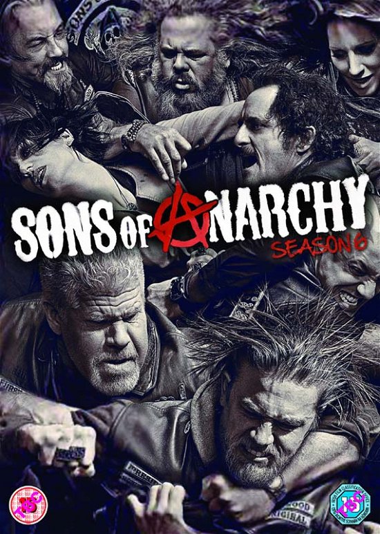 Cover for Sons Of Anarchy · Season 6 (DVD) (2014)