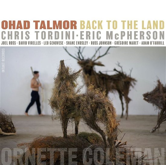 Cover for Talmor, Ohad / Chris Tordini / Eric Mcpherson · Back To The Land (CD) (2023)