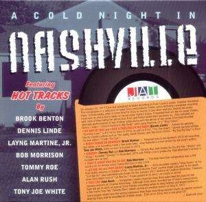 A Cold Night In Nashville Song - Elvis Presley - Muziek - Elvis Corner - 8718247290086 - 17 september 2010