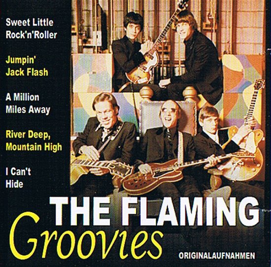 Cover for Flaming Groovies · The Flamming Grooves (CD) (2002)