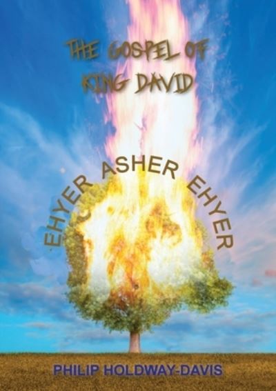 Cover for Philip Holdaway-Davis · The Gospel of King David (Paperback Book) (2021)