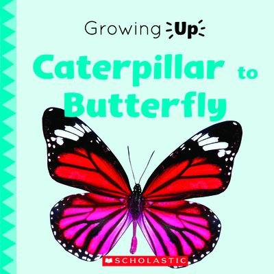 Cover for Scholastic · Caterpillar to Butterfly (Explore the Life Cycle!) (Bok) (2021)