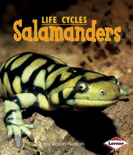 Cover for Robin Nelson · Salamanders (First Step Nonfiction) (Paperback Book) (2009)