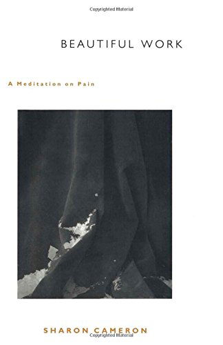 Cover for Sharon Cameron · Beautiful Work: A Meditation on Pain (Hardcover Book) (2000)