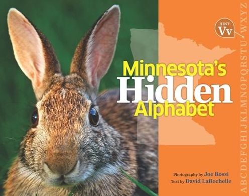 Cover for David Larochelle · Minnesota's Hidden Alphabet (Hardcover Book) (2010)