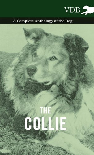 Cover for The Collie - a Complete Anthology of the Dog - (Innbunden bok) (2010)