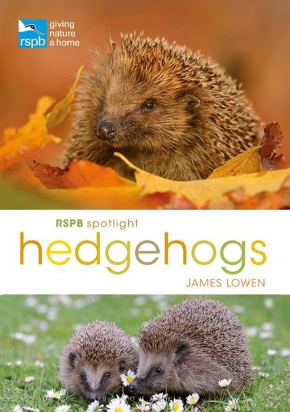 Cover for James Lowen · RSPB Spotlight Hedgehogs - RSPB (Pocketbok) (2018)