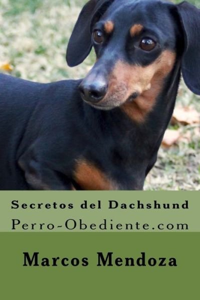Cover for Marcos Mendoza · Secretos del Dachshund (Pocketbok) (2016)
