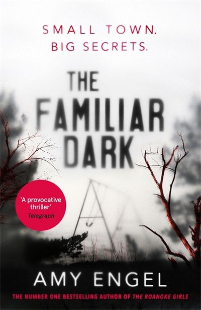 Cover for Amy Engel · The Familiar Dark (Paperback Book) (2020)