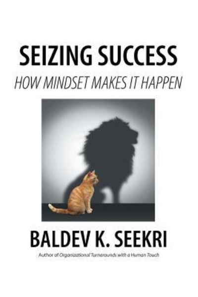 Cover for Baldev K Seekri · Seizing Success (Paperback Book) (2017)