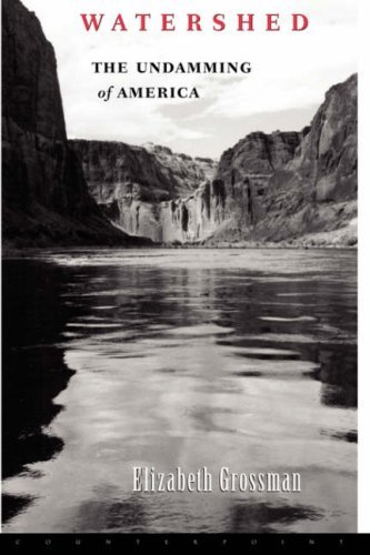 Cover for Elizabeth Grossman · Watershed (Gebundenes Buch) [First edition] (2002)