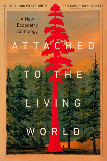 Attached to the Living World: A New Ecopoetry Anthology -  - Książki - Trinity University Press,U.S. - 9781595343086 - 24 kwietnia 2025