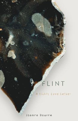 Cover for Joanne Bourne · Flint: A lithic love letter (Hardcover Book) (2024)