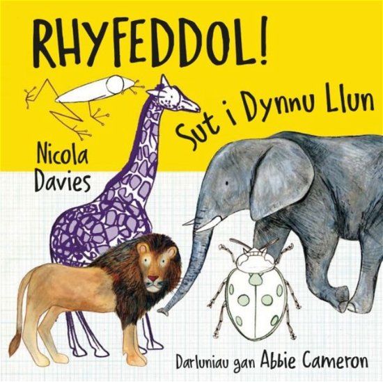 Cover for Nicola Davies · Rhyfeddol! Sut i Dynnu Llun (Taschenbuch) (2023)