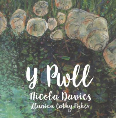 Cover for Nicola Davies · Y Pwll (Paperback Book) (2020)