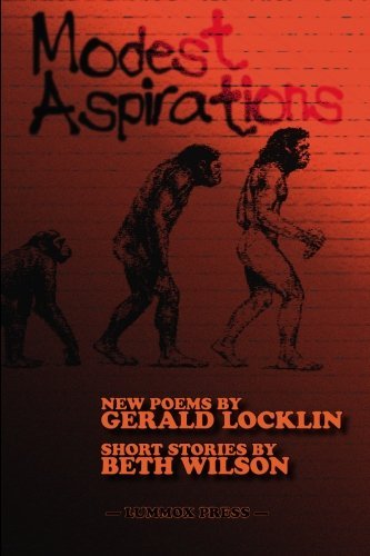 Cover for Beth Wilson · Modest Aspirations (Paperback Book) (2010)