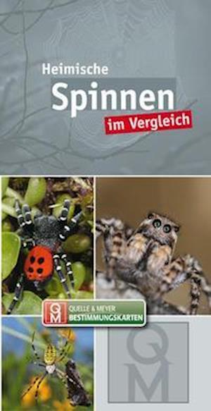 Heimische Spinnen - Quelle & Meyer Verlag - Książki - Quelle + Meyer - 9783494019086 - 14 października 2021