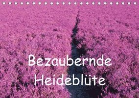 Bezaubernde Heideblüte (Tisch - Valentino - Livros -  - 9783670466086 - 