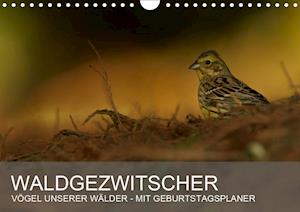 Cover for Krebs · Waldgezwitscher - Vögel unserer W (Book)