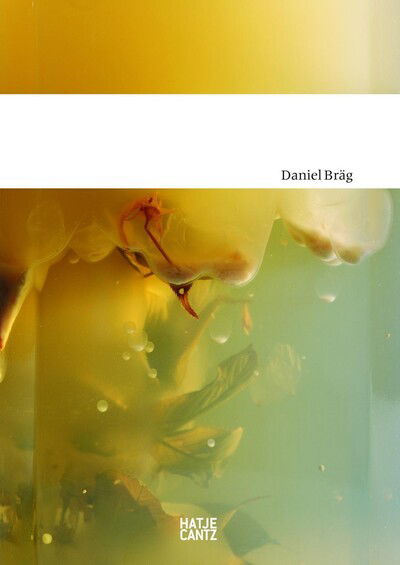 Daniel Brag - Arnold Stadler - Books - Hatje Cantz - 9783775732086 - September 13, 2011