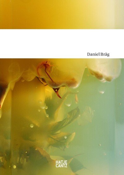 Cover for Arnold Stadler · Daniel Brag (Paperback Book) (2011)