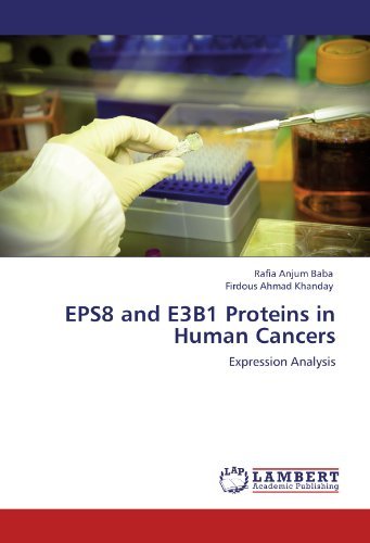 Cover for Firdous Ahmad Khanday · Eps8 and E3b1 Proteins in Human Cancers: Expression Analysis (Taschenbuch) (2011)