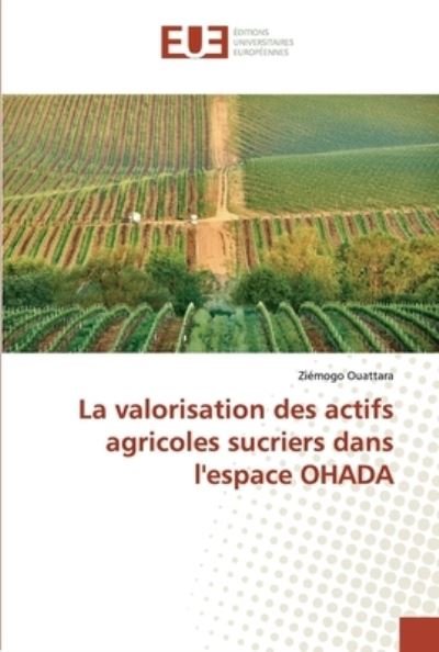 Cover for Ouattara · La valorisation des actifs agr (Book) (2019)