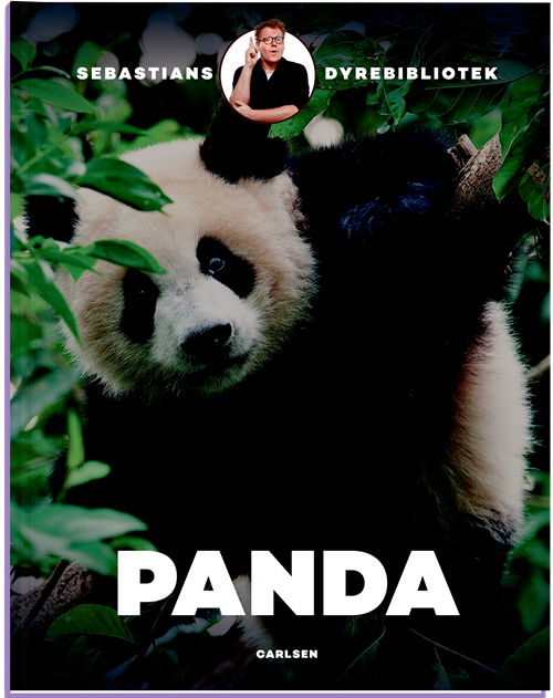 Cover for Sebastian Klein · Sebastians Dyreblibliotek Panda (Bound Book) [1e uitgave] (2020)