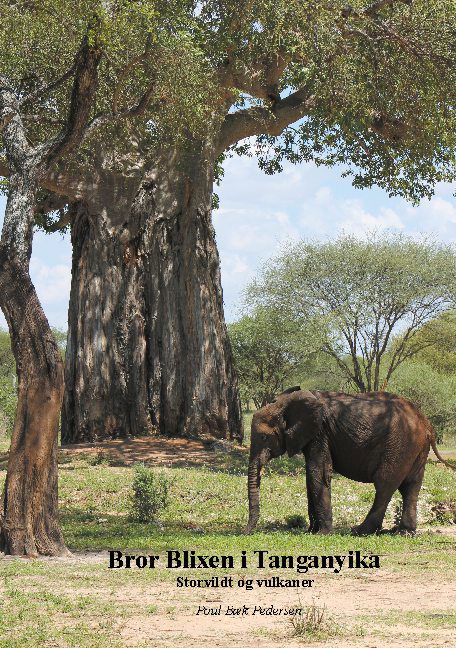 Bror Blixen i Tanganyika - Poul Bæk Pedersen; Poul Bæk Pedersen - Bøger - Books on Demand - 9788743028086 - 21. september 2020