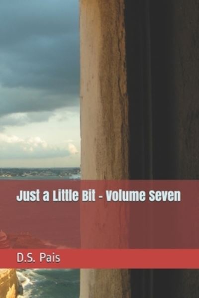 Just a Little Bit - Volume Seven - D S Pais - Books - Independently Published - 9798527272086 - June 26, 2021