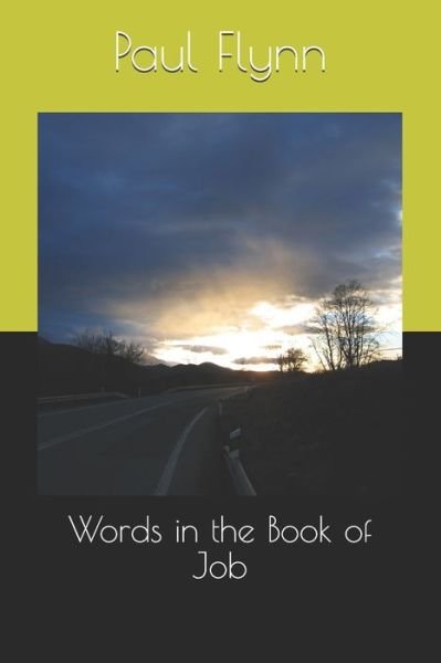 Cover for Paul Flynn · Words in the Book of Job (Pocketbok) (2020)