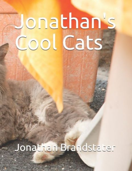 Cover for Jonathan Jay Brandstater · Jonathan's Cool Cats (Paperback Book) (2020)